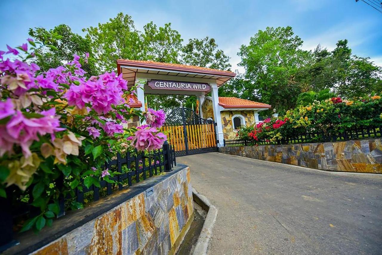 Centauria Wild Hotel Udawalawe Buitenkant foto
