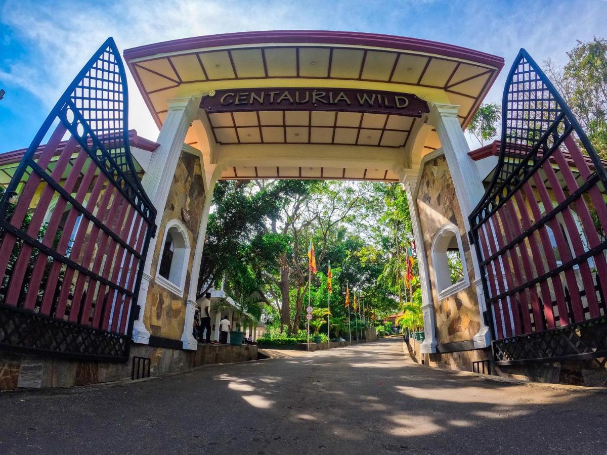 Centauria Wild Hotel Udawalawe Buitenkant foto
